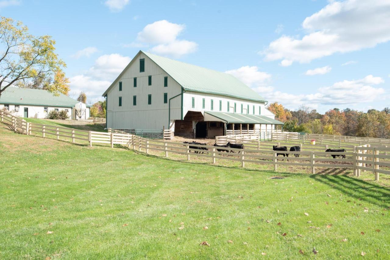 Ferienhaus Cozy Cow Homestead With Pool!