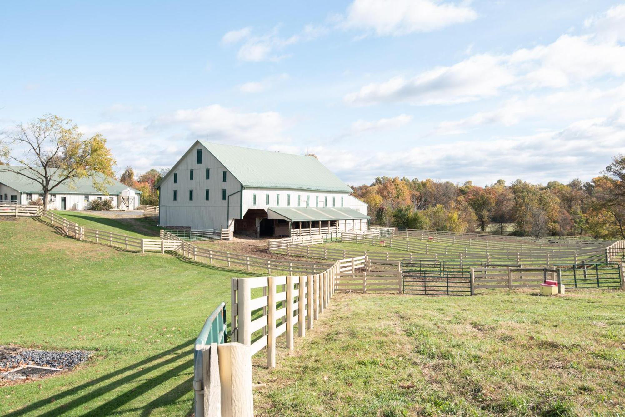Cozy Cow Homestead With Pool! *